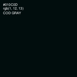 #010C0D - Cod Gray Color Image